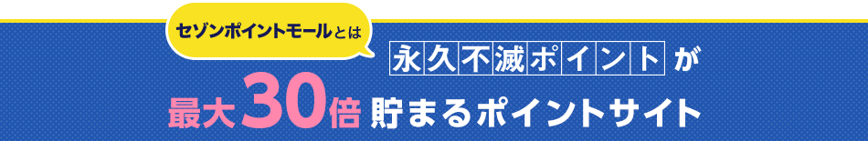 �Z�]���|�C���g���[���Ƃ� �i�v�s�Ń|�C���g���ő�30�{���܂�|�C���g�T�C�g